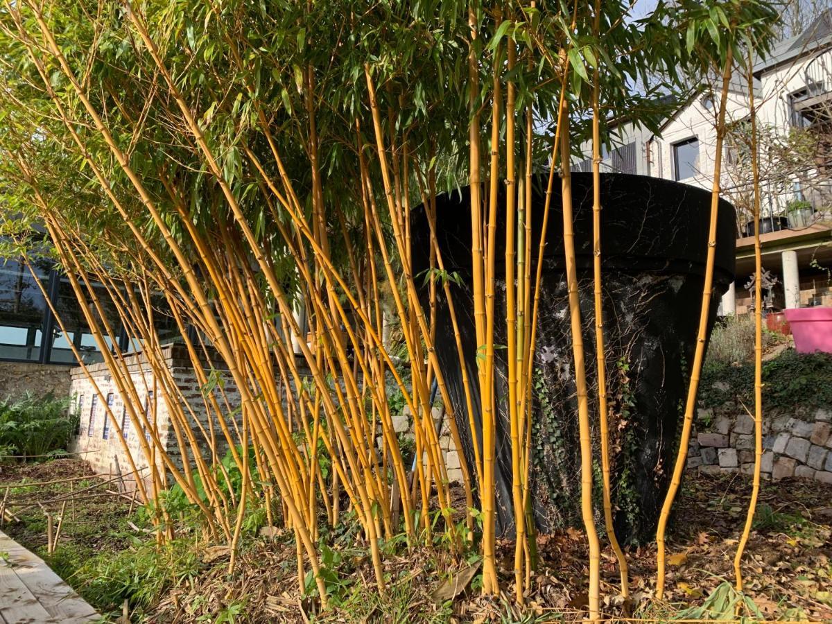 Eco Maison Entiere Avec Terrasse Dans Jardin Potager Piscine Parking Vakantiehuis *