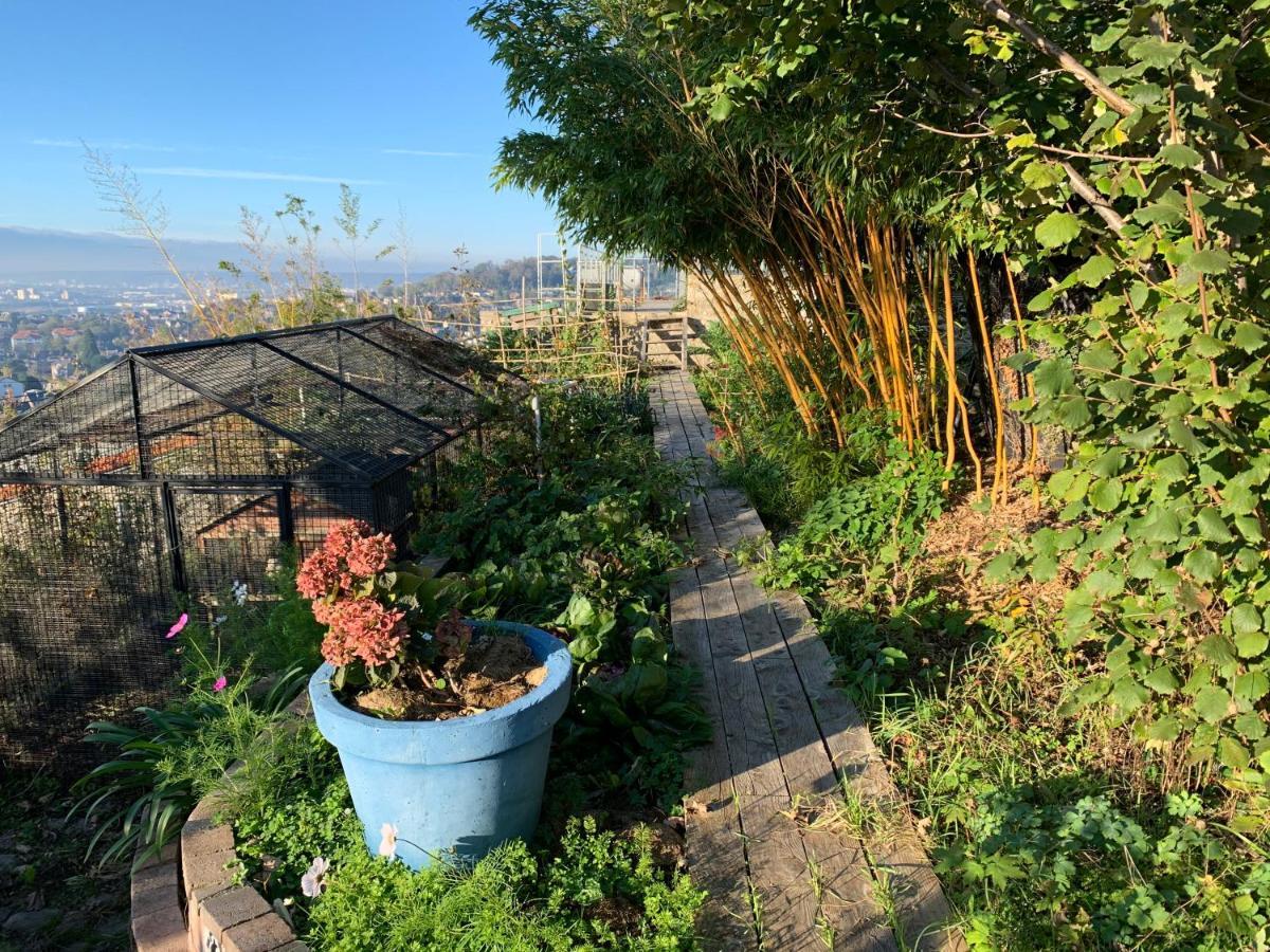 Eco Maison Entiere Avec Terrasse Dans Jardin Potager Piscine Parking *