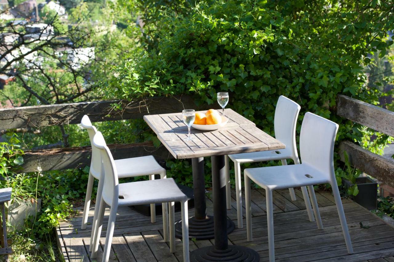 Eco Maison Entiere Avec Terrasse Dans Jardin Potager Piscine Parking *
